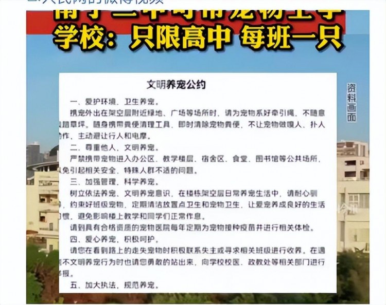 中学允许学生带宠物上学：不同意！由于我以前没有